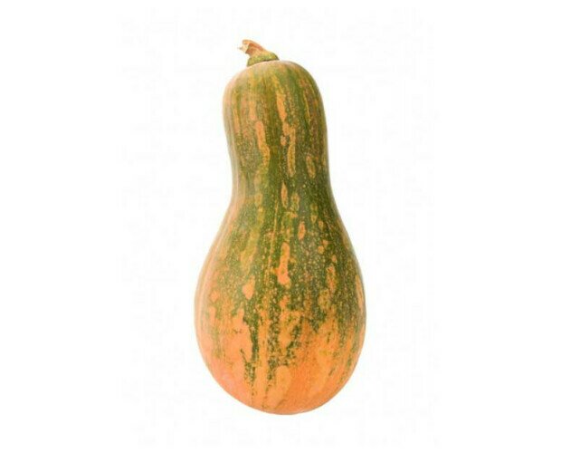 Calabaza carruecano. Calabaza carruecano. Gran sabor